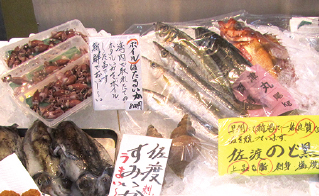 新潟地魚専門店 古川鮮魚
